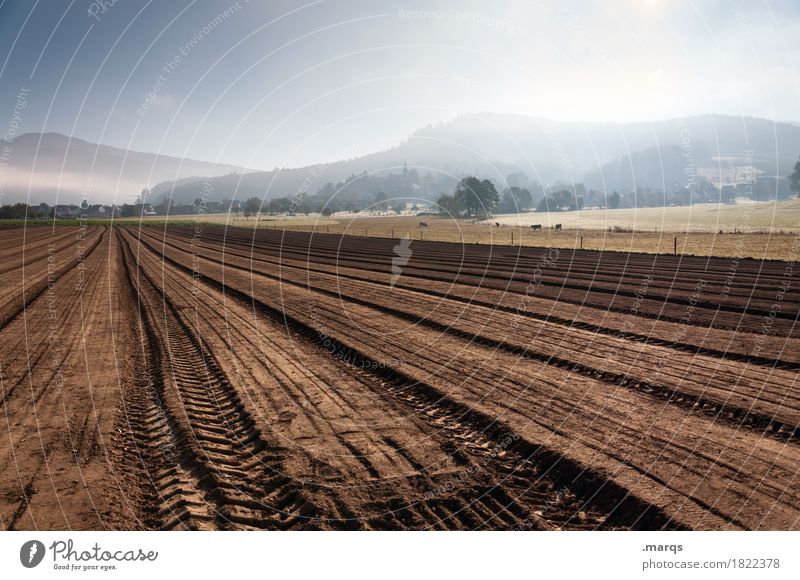 Acker Landwirtschaft Forstwirtschaft Natur Landschaft Urelemente Erde Wolkenloser Himmel Herbst Schönes Wetter Nebel Feld Berge u. Gebirge nachhaltig braun