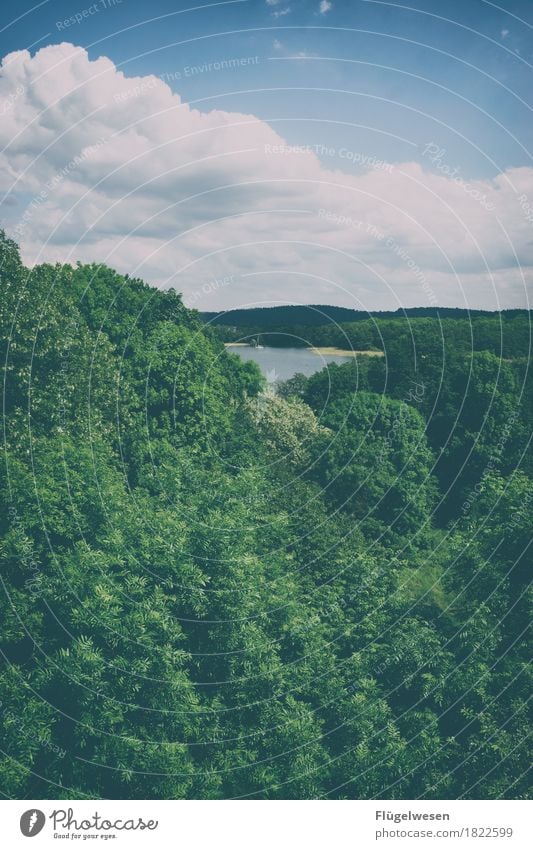 Seeblick Ferien & Urlaub & Reisen Tourismus Ausflug Abenteuer Ferne Freiheit Umwelt Natur Landschaft Himmel Klima Klimawandel Pflanze Baum Seeufer genießen Wald