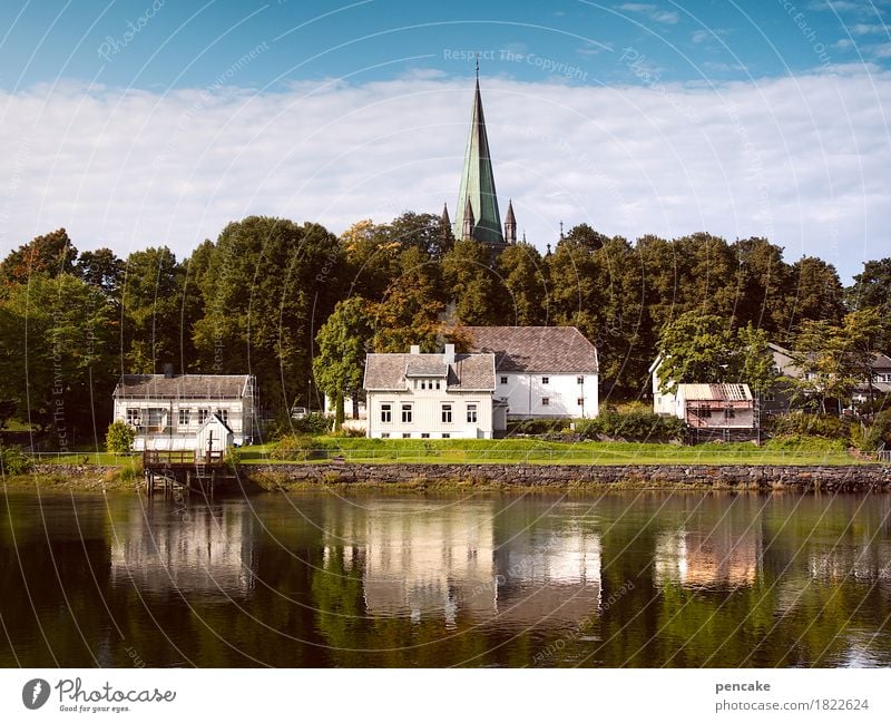 lage, lage, lage Natur Landschaft Urelemente Wasser Himmel Herbst Park Flussufer Nidelv Hafenstadt Haus Dom Gebäude historisch retro Nidaros Dom Trondheim