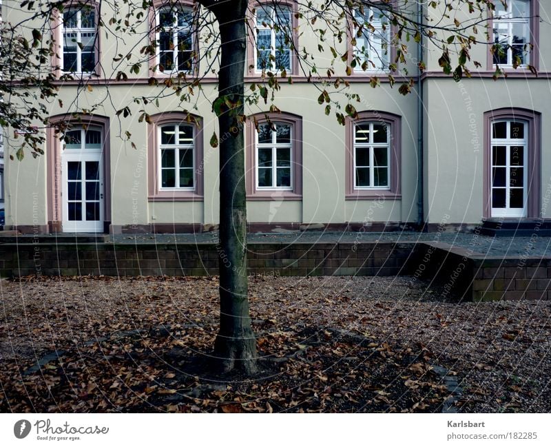 oktober. Städtereise Haus Traumhaus Garten Wissenschaften Schulgebäude Schulhof Gartenarbeit Kunst Kultur Opernhaus Herbst Baum Park Burg oder Schloss Mauer