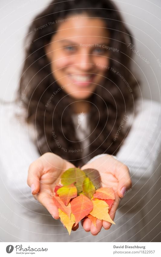 Bisschen Herbst feminin Junge Frau Jugendliche Leben Hand 1 Mensch 18-30 Jahre Erwachsene Pflanze Tier Schönes Wetter Blatt braun gelb grün orange herbstlich