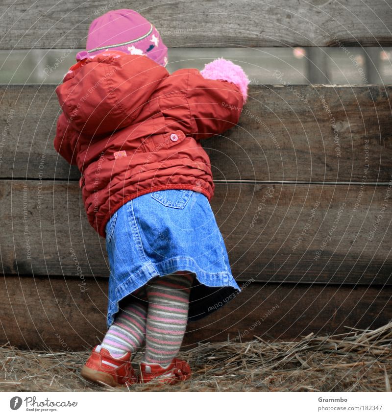 Neugier Farbfoto mehrfarbig Außenaufnahme Textfreiraum rechts Mensch Kleinkind Mädchen Kindheit 1 1-3 Jahre Dorf Jacke Strumpfhose Mütze Blick niedlich