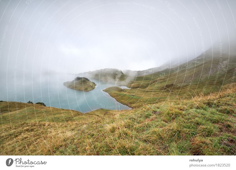 Alpensee im dichten Nebel, Bayern, Deutschland Ferien & Urlaub & Reisen Abenteuer Expedition Berge u. Gebirge Natur Landschaft Wetter Gras Wiese Hügel Felsen