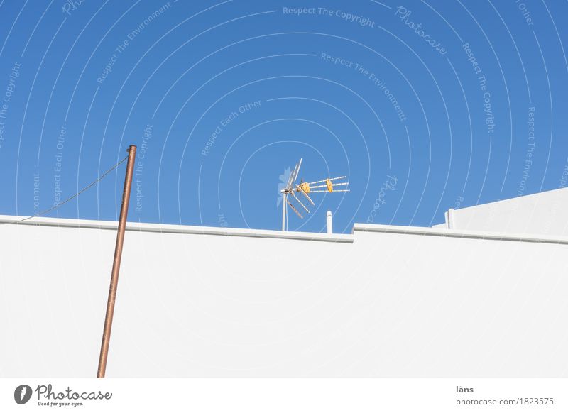 Empfang Häusliches Leben Wohnung Haus Himmel Wolkenloser Himmel Sonnenlicht Schönes Wetter Mauer Wand Dach erleben Antenne Farbfoto Außenaufnahme Menschenleer