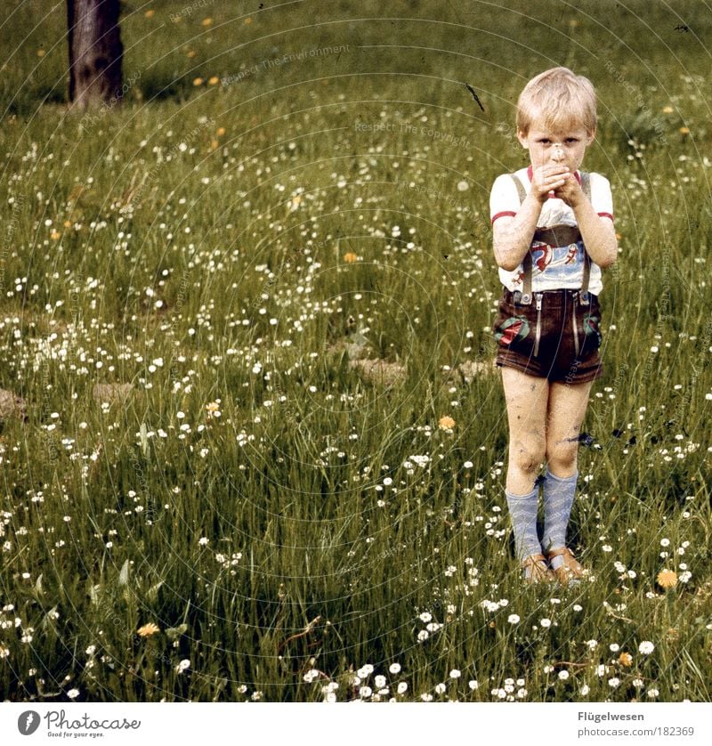 Der Tag an dem die Wiese stillstand Farbfoto Außenaufnahme Lifestyle Freizeit & Hobby Kindererziehung Mensch Junge Pflanze Gras blond Coolness Freude Glück