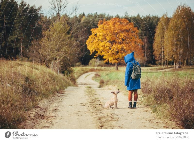 Herbstspaziergang - Freunde für's Leben - Indian Summer Feeling feminin Frau Erwachsene Haustier Hund stehen Einigkeit entdecken Ausflug Freiheit Landschaft