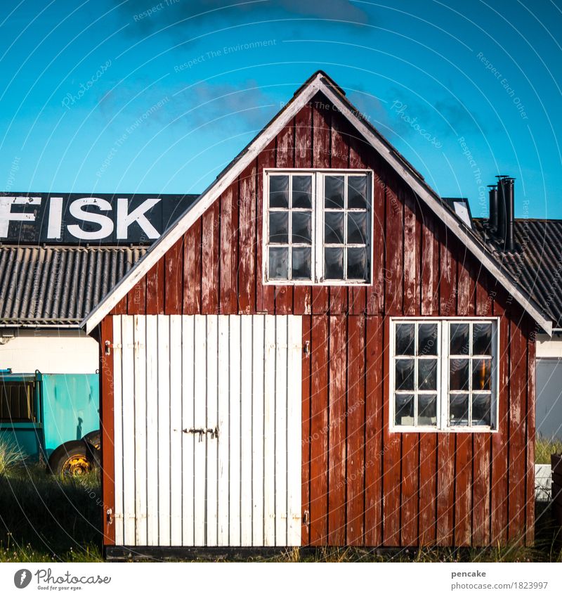 eßt meer fisch Lebensmittel Fisch Himmel Herbst Schönes Wetter Küste Nordsee Hafenstadt Hütte authentisch lecker Dänemark Räucherfisch rot Autofenster frisch