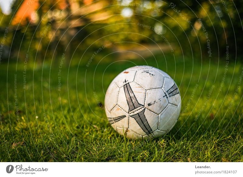 Fußball im Garten sportlich Fitness Sport Sport-Training liegen Spielen gelb grün orange Abenteuer Rasen Gras Ball Weltmeisterschaft EM Bundesliga