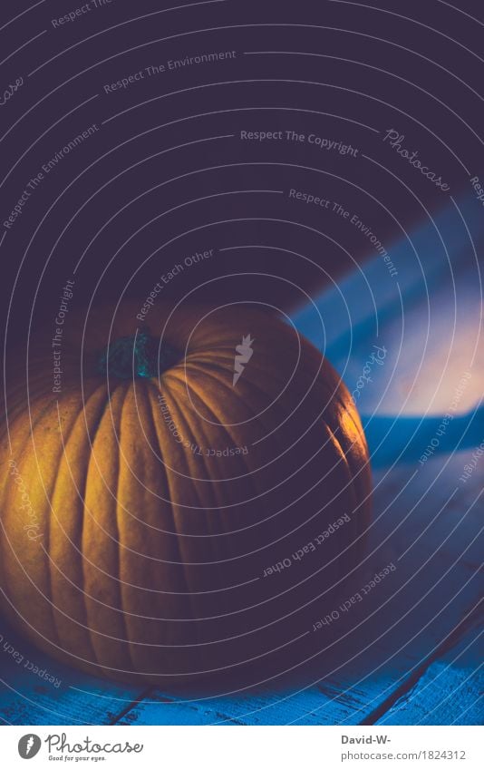 Kürbis zu Halloween Lebensmittel Gemüse ruhig Dekoration & Verzierung Nachtleben Umwelt Natur Herbst leuchten dunkel schön orange träumen grauenvoll gruselig