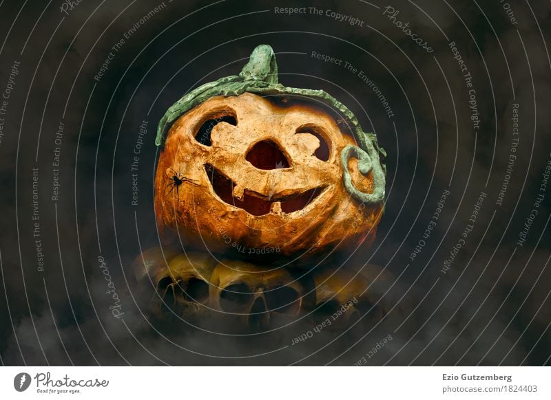 Halloween Kürbis mit Spinne auf Totenköpfe Design Mensch Kopf Aggression Ekel Fröhlichkeit gruselig gelb Gefühle Angst Entsetzen Todesangst Hintergrundbild