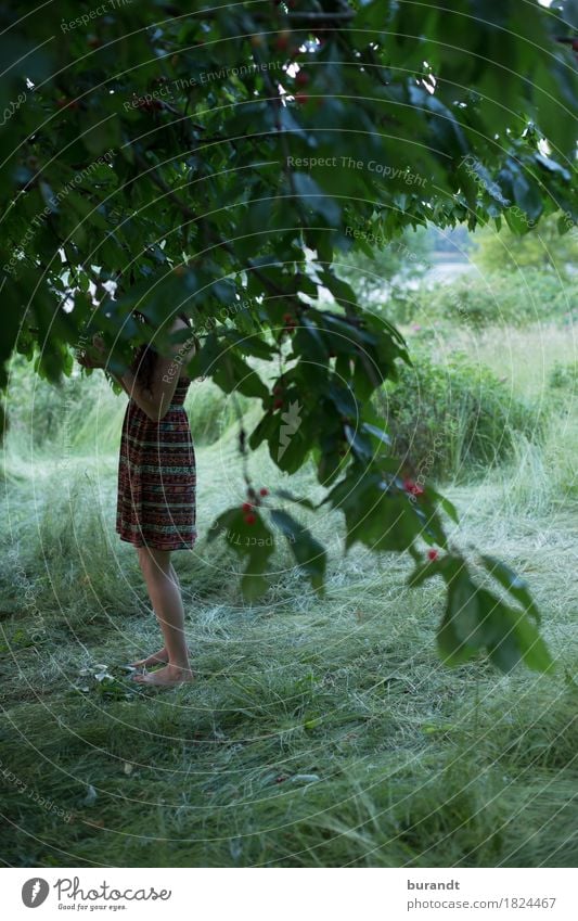 Sommer am See II maskulin Junge Frau Jugendliche Körper Beine 1 Mensch 18-30 Jahre Erwachsene Umwelt Natur Landschaft Klima Schönes Wetter Pflanze Baum Gras