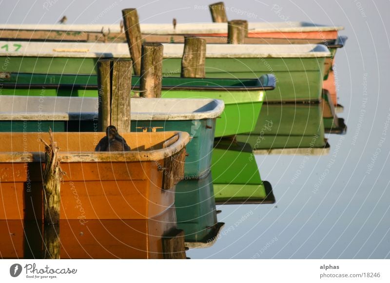 Boote 1 Wasserfahrzeug See Teich Steg Sommer Ente