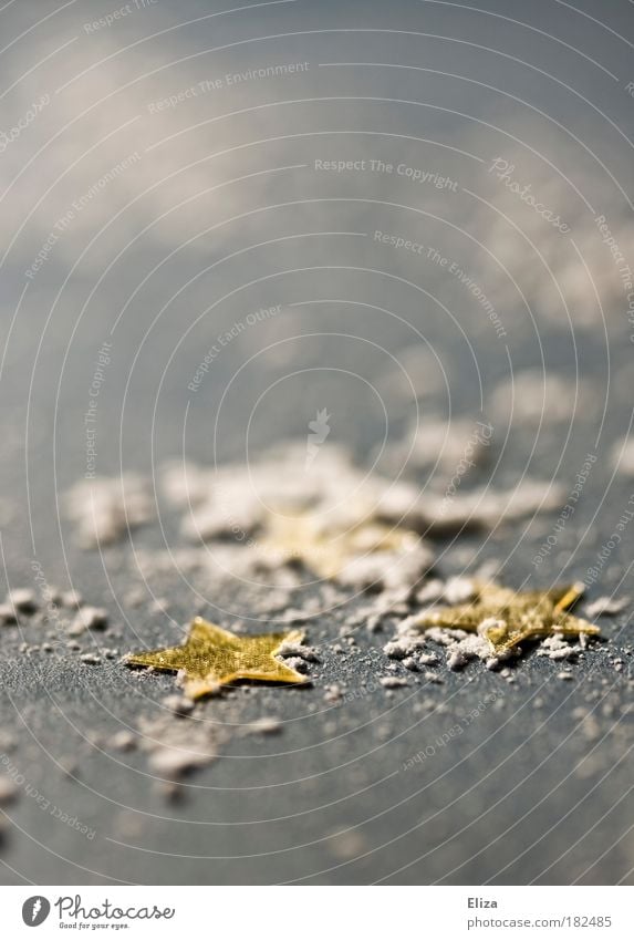 Puderzuckersterne Gedeckte Farben Innenaufnahme Detailaufnahme Makroaufnahme Vorfreude Gold Dekoration & Verzierung Schnee weiß Winter kühlen Stern