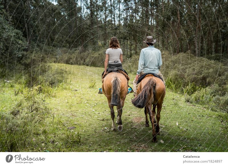 zamm(auf)gebrochen | auf neuen Wegen. Paar reitet Reiten maskulin feminin Junge Frau Jugendliche Junger Mann 2 Mensch Landschaft Sommer Wald Pferd Gras