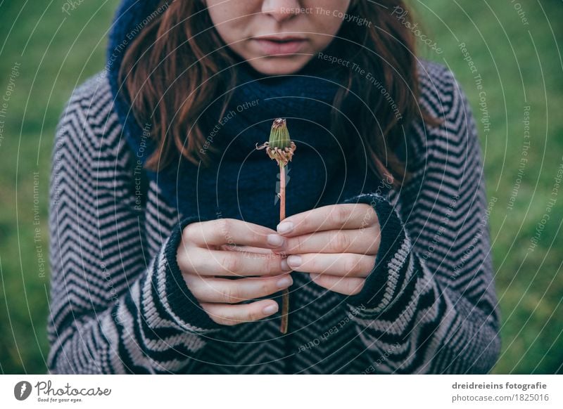 Erwachen. Leben. Freude. feminin Junge Frau Jugendliche Natur Pflanze Herbst beobachten Freundlichkeit Neugier positiv Interesse Hoffnung Glaube Sehnsucht