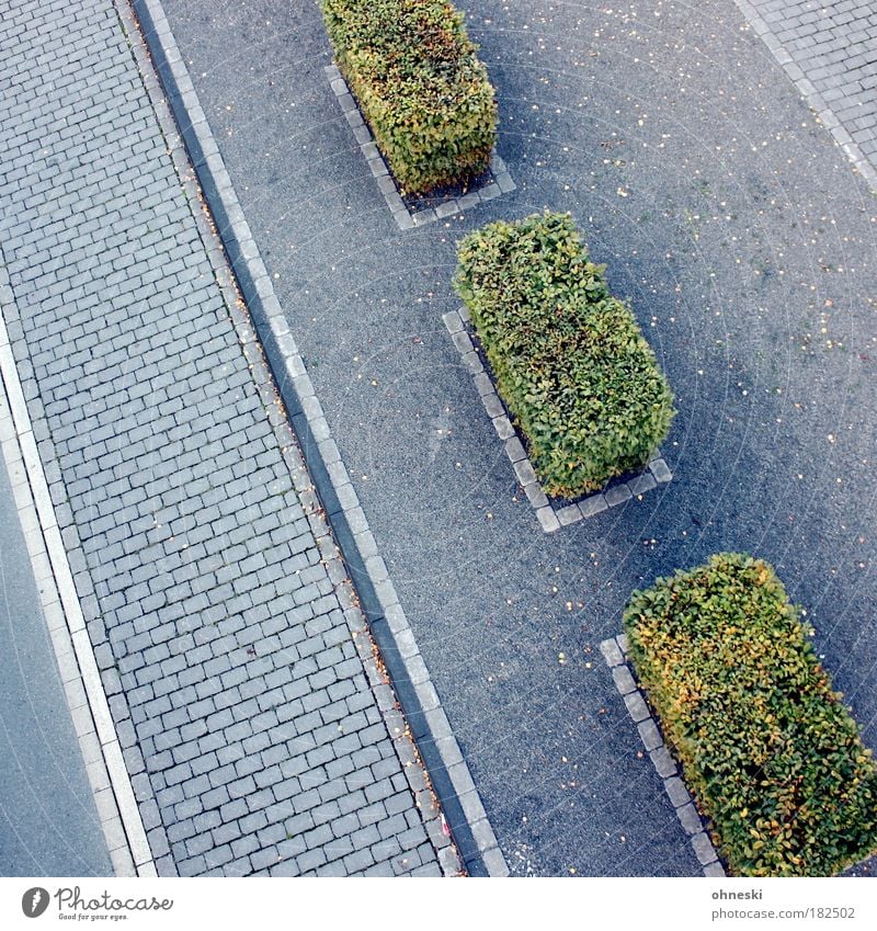 Straßenbaukunst Teil 2 Farbfoto Gedeckte Farben Außenaufnahme Muster Strukturen & Formen Menschenleer Tag Schatten Vogelperspektive Verkehr Verkehrswege