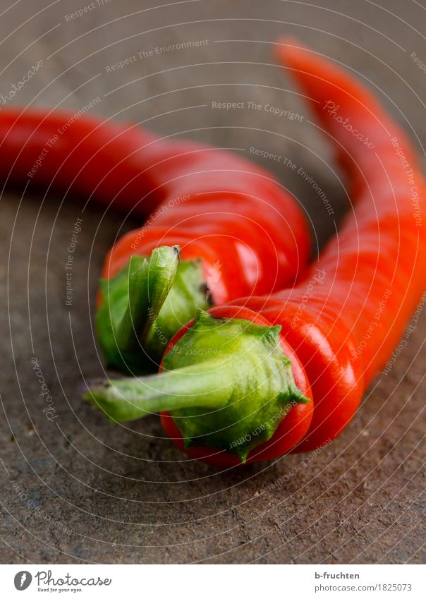 Chilischoten Holz exotisch frech frisch Gesundheit rot Schote Scharfer Geschmack Küche Schneidebrett Paprika Pfefferoni Gemüse Kräuter & Gewürze Würzig Farbfoto