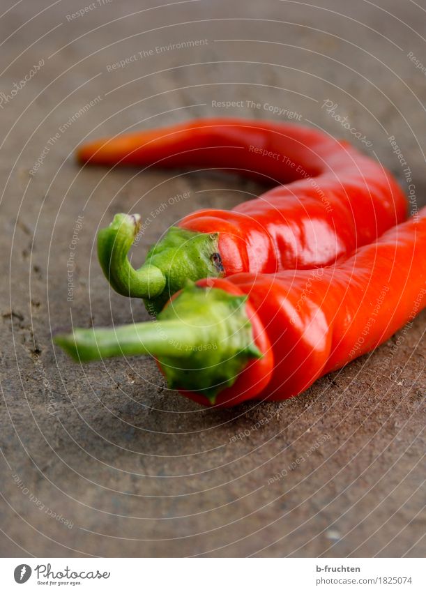 scharfes Paar Gemüse Tisch Essen genießen rot Zusammenhalt Chili Paprika feurig Scharfer Geschmack paarweise Holz Ernte Peperoni Würzig Peperoncini Pfefferoni