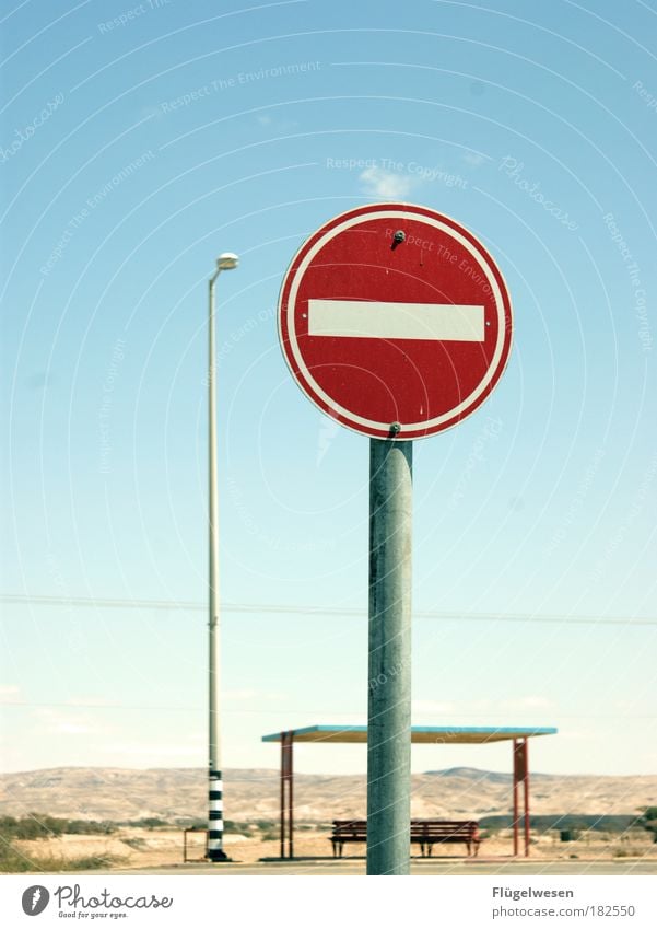 "Und nun? Aber, ich muß doch zum Bus!" Farbfoto Außenaufnahme Kunst Natur Landschaft Stadtrand Straße Straßenkreuzung gebrauchen beobachten Geschwindigkeit