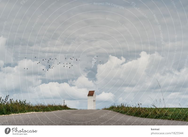 Adios, Vögel. ruhig Ausflug Abenteuer Ferne Freiheit Umwelt Natur Landschaft Himmel Wolken Herbst Wetter Feld Haus Elektrizität Stromhäuschen Strommast Straße