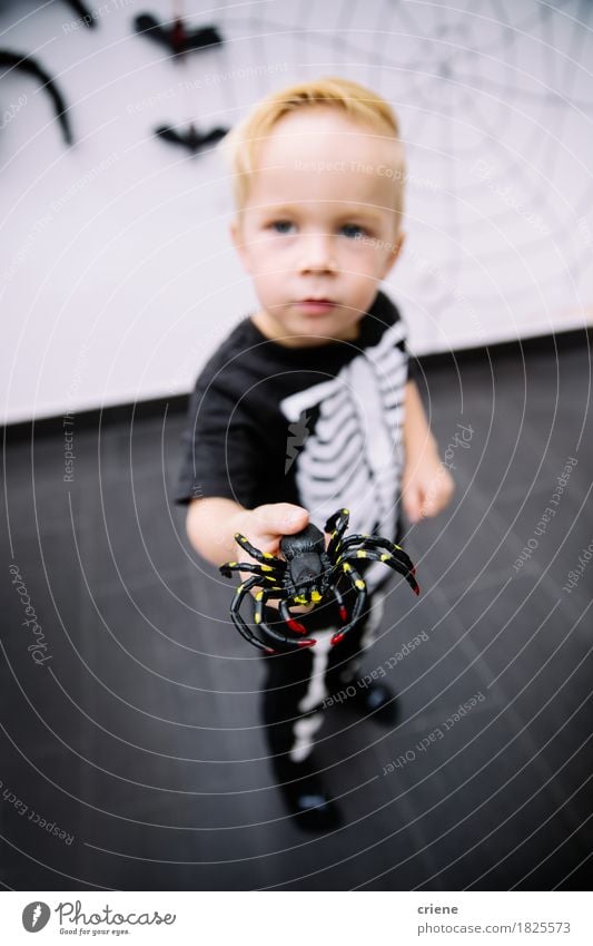 Kaukasischer kleiner Junge, der mit Spinnenspielzeug spielt Lifestyle Spielen Halloween Kindergarten Mensch Kleinkind Kindheit Fröhlichkeit Neugier Angst Tracht