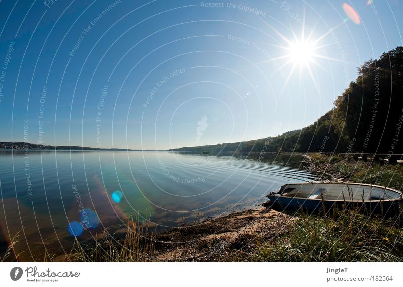 Sommer Farbfoto Außenaufnahme Menschenleer Textfreiraum links Textfreiraum rechts Textfreiraum oben Textfreiraum Mitte Tag Licht Sonnenlicht Sonnenstrahlen