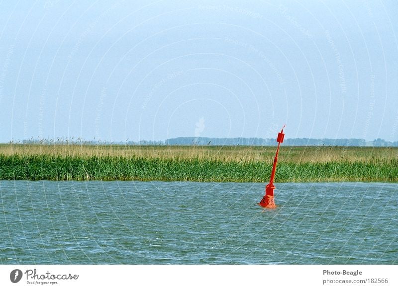 Dorit gewidmet Fischland Darß Zingst Mecklenburg-Vorpommern Ostsee See Wasser Wellen Schilfrohr Boje Ferne Leere Horizont Menschenleer unbebaut natürlich