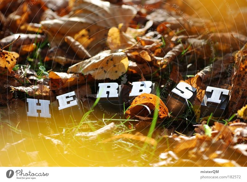 Bodenhaltung. Farbfoto Gedeckte Farben mehrfarbig Außenaufnahme Nahaufnahme Detailaufnahme Makroaufnahme Experiment abstrakt Muster Strukturen & Formen