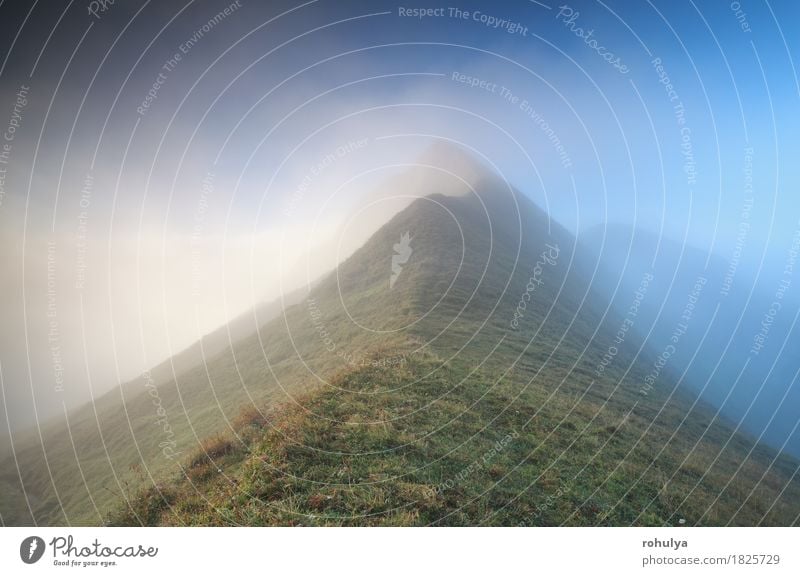 Bergspitze im dichten Nebel, Alpen Ferien & Urlaub & Reisen Berge u. Gebirge Natur Landschaft Himmel Herbst Wetter Gras Wiese Felsen blau grün Gelassenheit