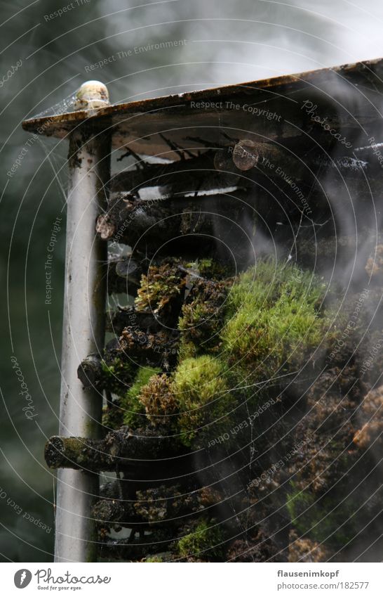 Kleine Moos-Saline Farbfoto Außenaufnahme Detailaufnahme Menschenleer Abend Schwache Tiefenschärfe Wasser Herbst Holz Metall Rauch Erholung natürlich braun grün