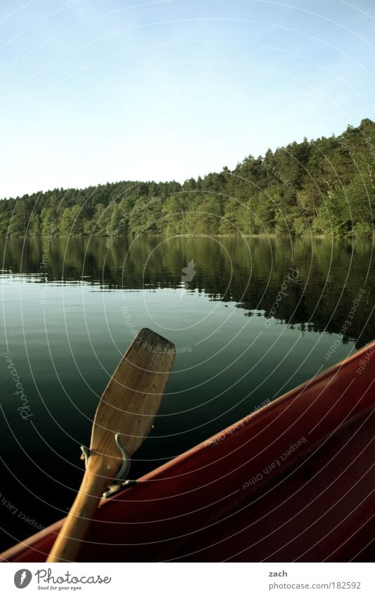 In 5 Monaten ist Frühling Farbfoto Gedeckte Farben Außenaufnahme Textfreiraum oben Tag Abend Licht Reflexion & Spiegelung Zentralperspektive Angeln Umwelt Natur