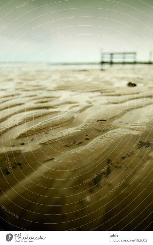 the beach Farbfoto Gedeckte Farben Detailaufnahme Textfreiraum oben Textfreiraum unten Weitwinkel Ferien & Urlaub & Reisen Meer Umwelt Natur Erde Wasser Klima