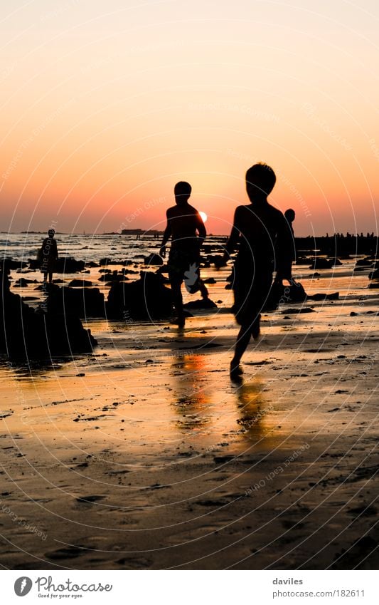 Farbfoto Außenaufnahme Abend Licht Schatten Silhouette Sonnenlicht Vorderansicht Leben Kinderspiel Ferien & Urlaub & Reisen Tourismus Freiheit Sommerurlaub