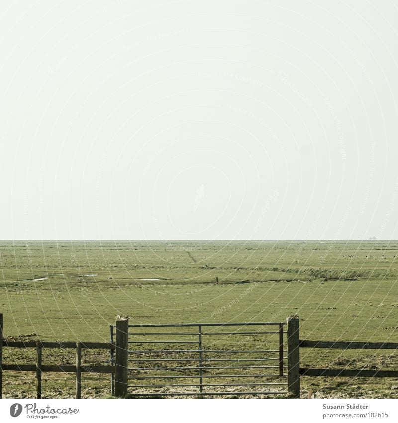 Tor ins Nichts Landschaft Pflanze Himmel Klima Garten Park Wiese Feld Insel Moor Sumpf Wüste Dorf träumen Zaun Ackerbau Hooge Halligen Horizont Holz Abtrennung