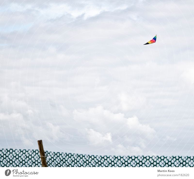 Flugobjekt Lifestyle Freude Freizeit & Hobby Basteln Kinderspiel Freiheit Strand Luft Wolken Herbst Wetter Wind Sturm fliegen Blick Spielen Fröhlichkeit hoch