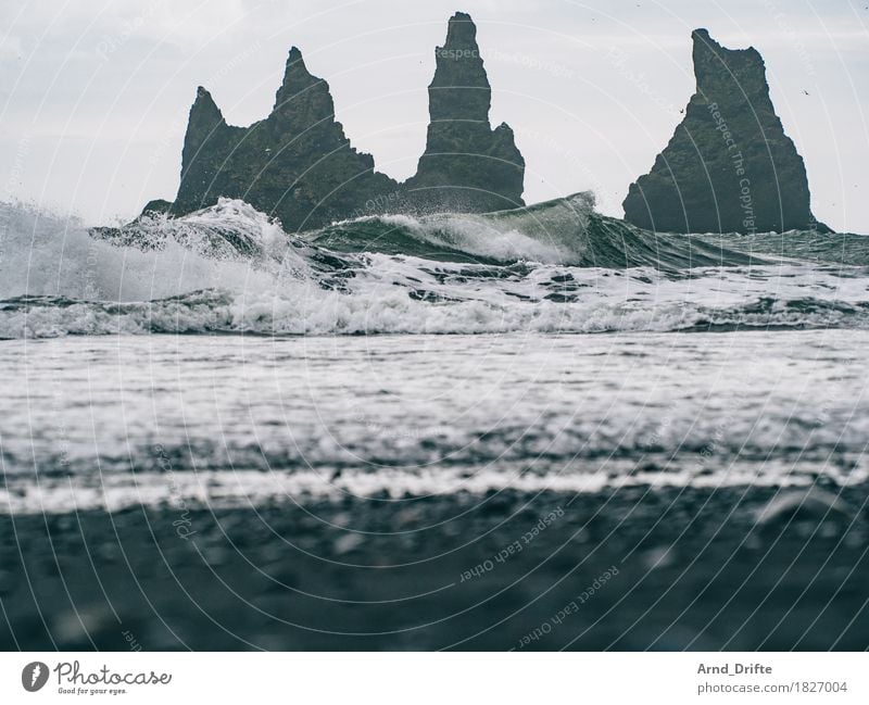 Island - Vík í Mýrdal Ferien & Urlaub & Reisen Ausflug Abenteuer Ferne Sightseeing Meer Wellen Natur Landschaft Sand Wasser Himmel Wind Felsen Küste Strand