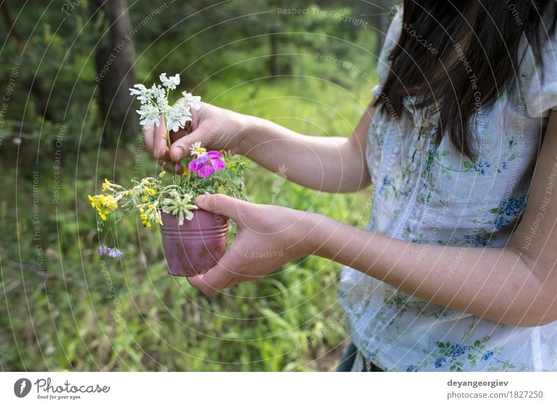 Frau sammelt Blumen schön Sommer Garten Gartenarbeit Mädchen Erwachsene Natur Pflanze Gras Wiese Kleid Behaarung Blumenstrauß niedlich wild grün jung sammelnd