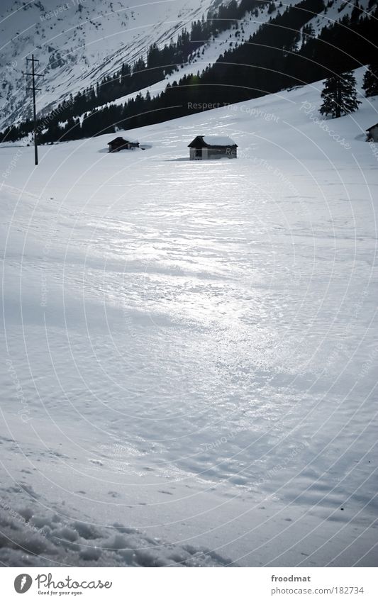 winter steht vor der tür Farbfoto Gedeckte Farben Menschenleer Tag Licht Reflexion & Spiegelung Landschaft Sonne Winter Klima Wetter Schönes Wetter Eis Frost