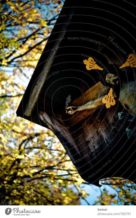 INRI Farbfoto Außenaufnahme Tag Unschärfe Froschperspektive Vorderansicht Blick nach unten geschlossene Augen Jesus Christus Skulptur Figur Statue Ikonen Baum