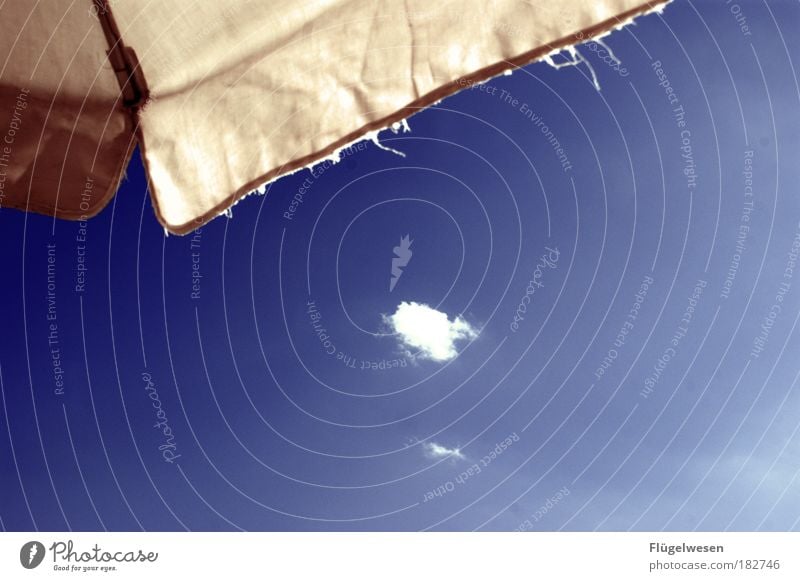 Wann kommt der Sommer zurück? Farbfoto Außenaufnahme Tag Umwelt Himmel Klima Wetter genießen Fröhlichkeit oben Glück Warmherzigkeit Sonne Regenschirm
