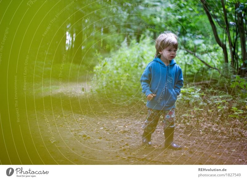 Unterwegs im Wald Ausflug Mensch maskulin Kind Kleinkind Junge 1 1-3 Jahre Umwelt Natur Landschaft Baum Sträucher Wege & Pfade Pullover Gummistiefel gehen