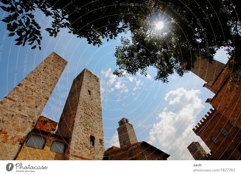 Sommerschlußverkauf der Eitelkeiten San Gimignano Italien Toskana Kleinstadt Stadtzentrum Altstadt Haus Hochhaus Religion & Glaube Dom Palast Platz Turm Baum