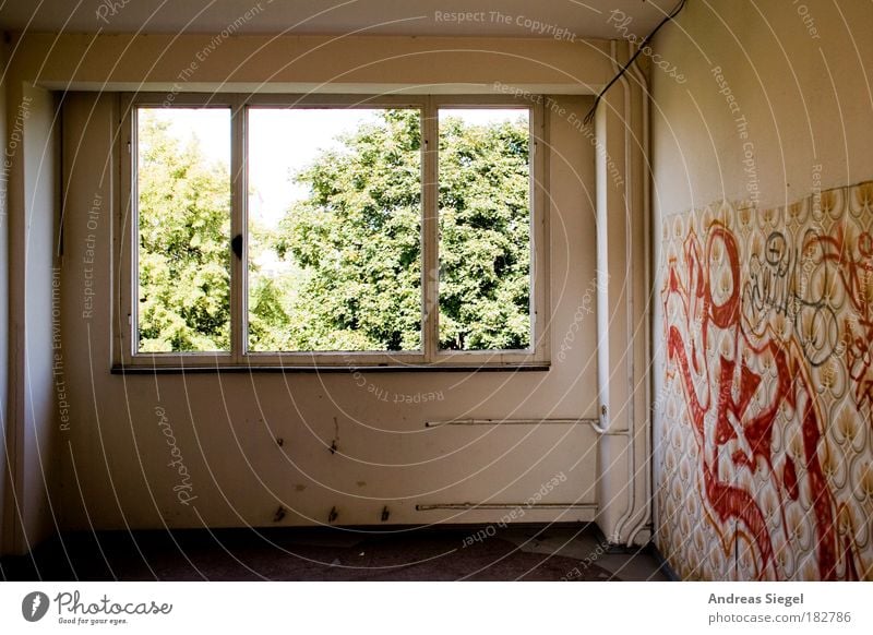 Blick ins Grüne Farbfoto Gedeckte Farben Menschenleer Tag Licht Schatten Sonnenlicht Häusliches Leben Wohnung Renovieren Umzug (Wohnungswechsel) einrichten