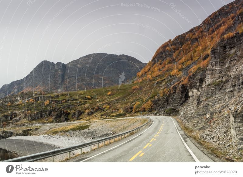 orientierung | immer an der wand lang Natur Landschaft Herbst Berge u. Gebirge Seeufer Bucht Fjord Riff Straßenverkehr Autofahren entdecken