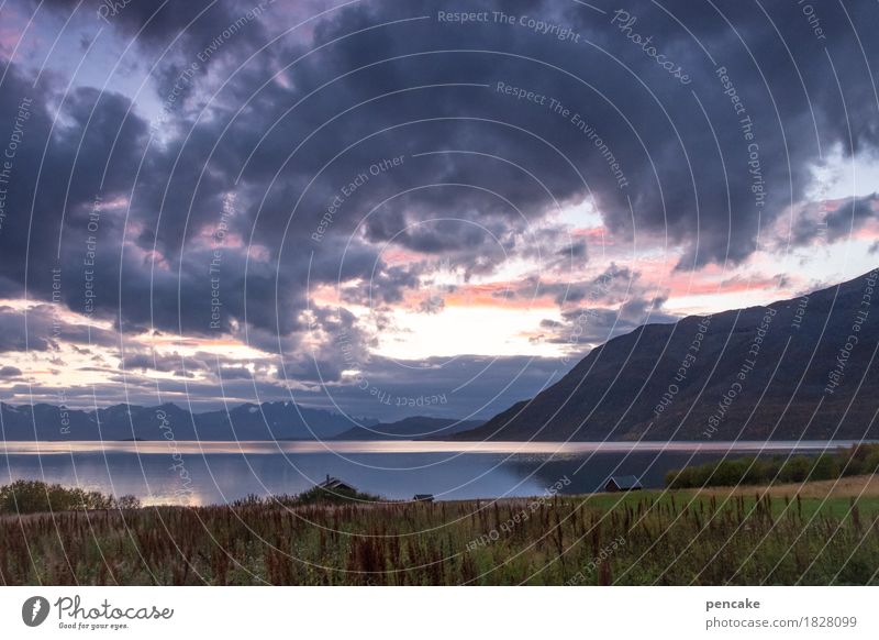 wilder norden Natur Landschaft Urelemente Wasser Himmel Wolken Gewitterwolken Wetter Berge u. Gebirge Seeufer Bucht Fjord Norwegen Hütte Fischerhütte Stimmung