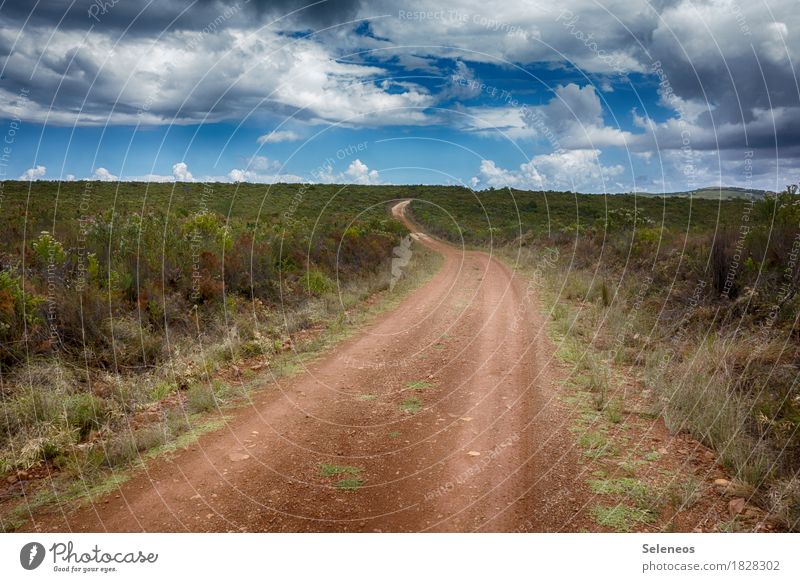 wandern Sinnesorgane Erholung ruhig Freizeit & Hobby Ausflug Abenteuer Ferne Freiheit Sommer Umwelt Natur Landschaft Himmel Wolken Horizont Sträucher natürlich