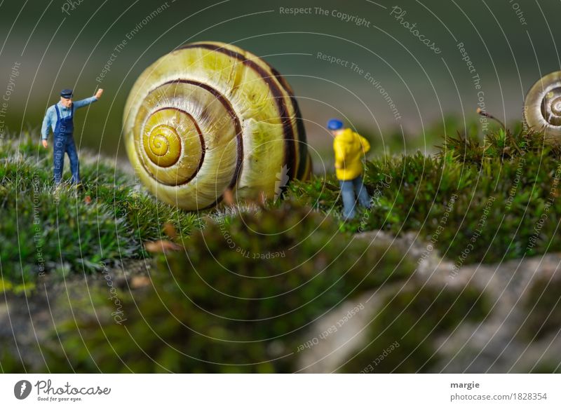 Miniaturwelten - Hausbau Mensch maskulin Mann Erwachsene 2 Tier Wildtier Schnecke gelb grün Schneckenhaus Arbeiter Handwerker bauen Querformat Spirale Moos