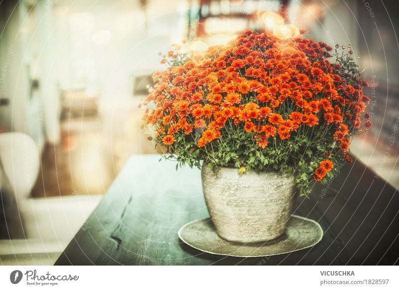 Herbst Blumen Dekoration in Wohnzimmer Lifestyle Reichtum Stil Design Leben Häusliches Leben Wohnung Innenarchitektur Dekoration & Verzierung Tisch Natur