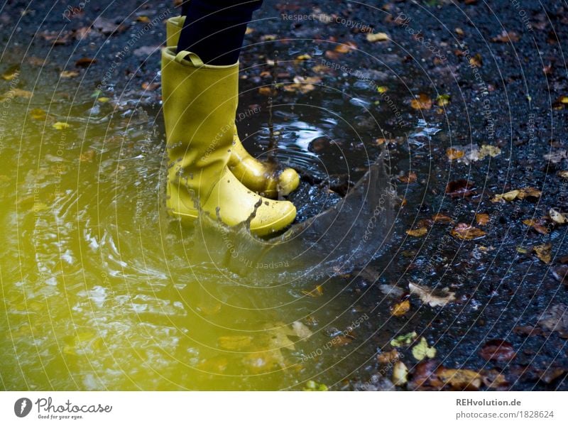 patsch Mensch Junge Frau Jugendliche Fuß 1 Umwelt Natur Herbst Wetter schlechtes Wetter Regen dreckig dunkel nass Freude Glück Lebensfreude Pfütze Blatt