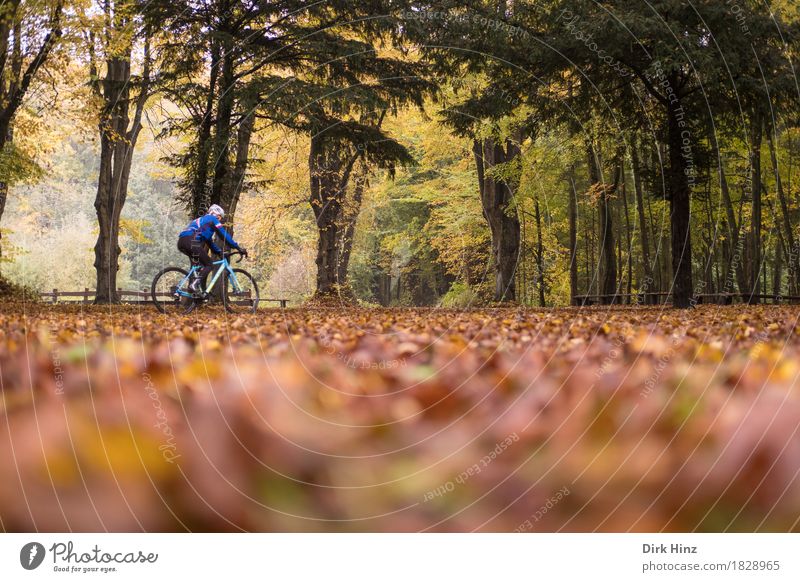 Herbst-Tour Gesundheitswesen sportlich Leben Freizeit & Hobby Ferien & Urlaub & Reisen Tourismus Ausflug Freiheit Fahrradtour 1 Mensch Leidenschaft Leistung